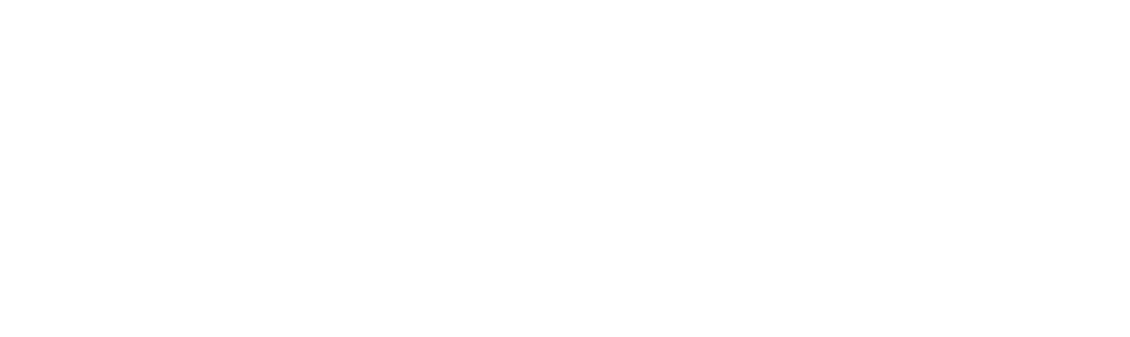 Webster-IT Logo Weiss - SEO und IT / PC