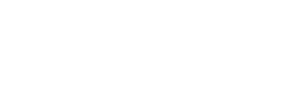 Webster-IT Logo Weiss - SEO und IT / PC